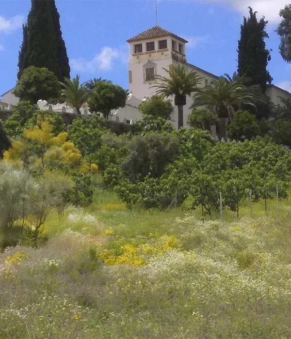 S CORTIJO 600x700