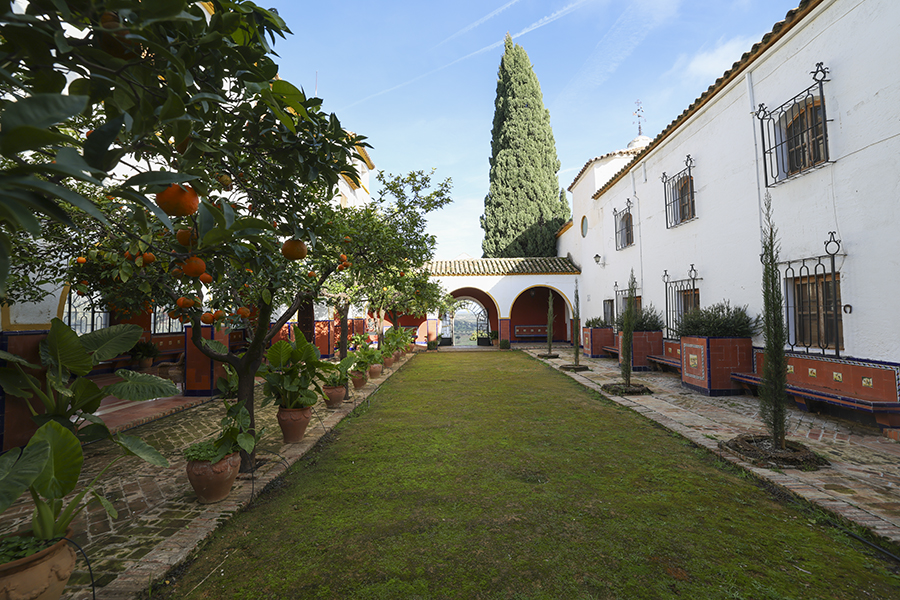 CORTIJO_4