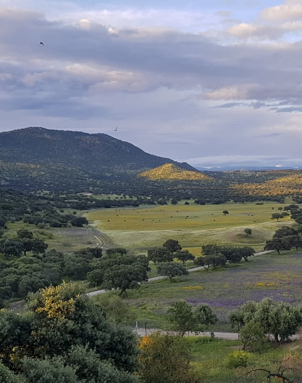 PAISAJE_2