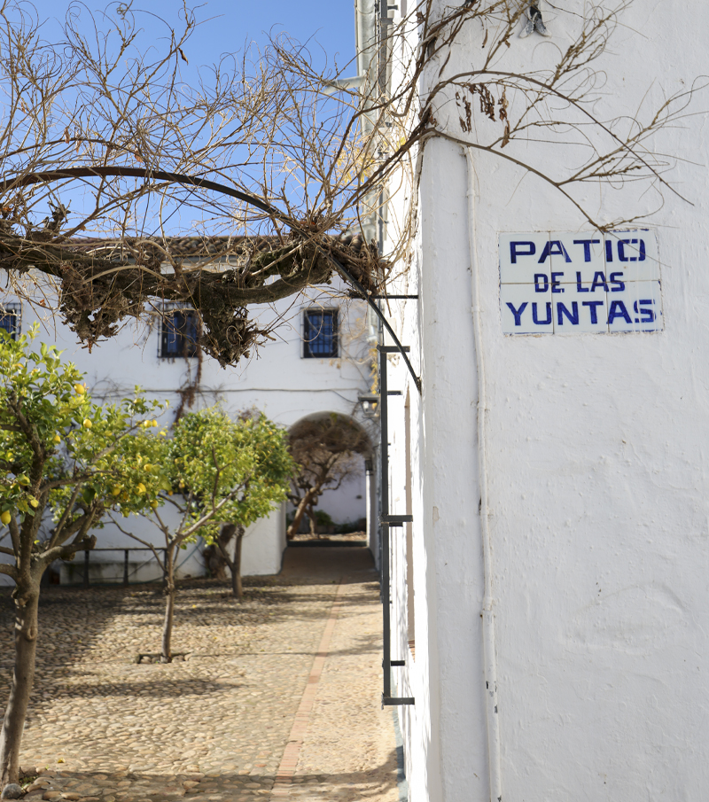 PATIODELASYUNTAS