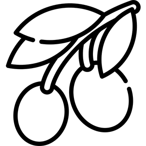 aceite-icon-2